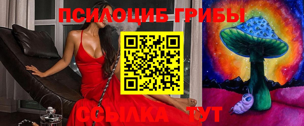 Псилоцибиновые грибы прущие грибы  Вход с VPN  Майский 